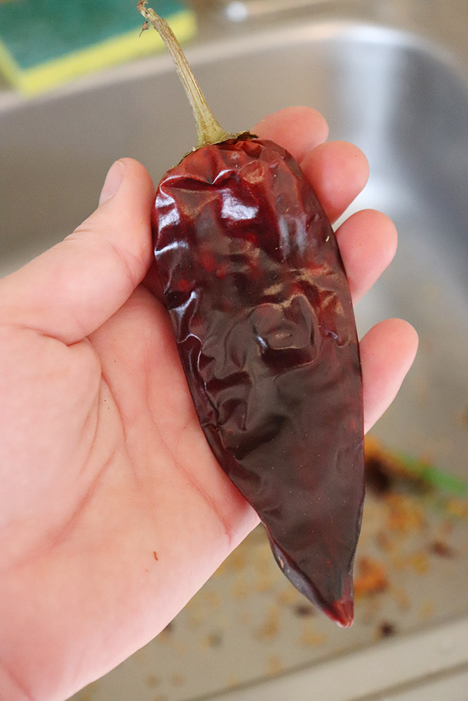 New Mexico Red chile Pods